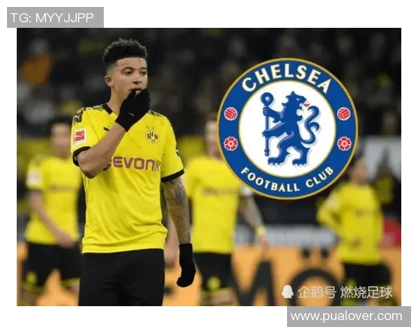 预测：五大联赛胜率几何？数据模型告诉你答案