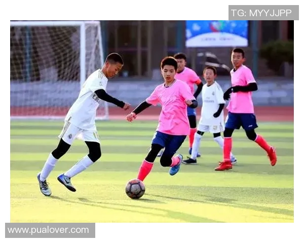 从绿茵少年到巨星舞台揭秘欧洲杯背后的成长与荣耀之路