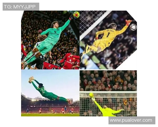 英超门将扑救数据对比及赛季整体表现深度分析